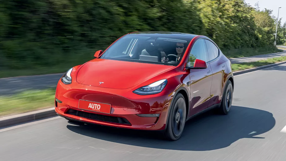 Model Y
